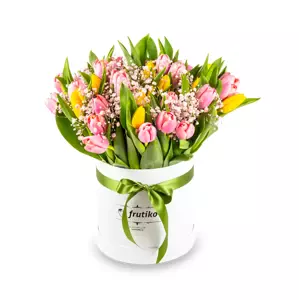 Žluto-růžové tulipány v krabici 20 Ks