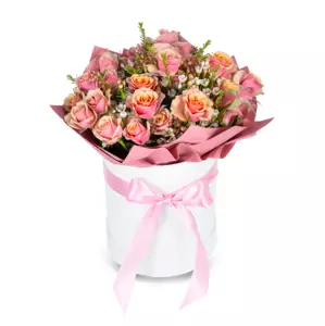 Růžové trsové růže box Standard