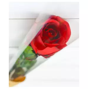 Rudá růže Love you