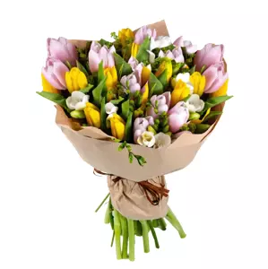 Kytice žluto-růžové tulipány 10 Ks